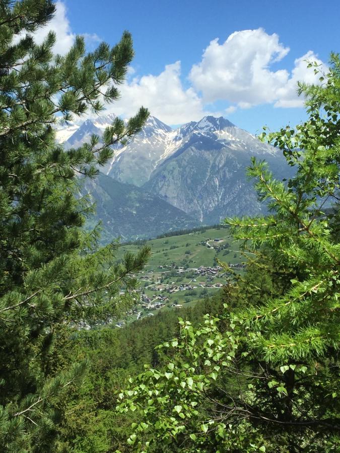 Chalet Gaerlich Bürchen Εξωτερικό φωτογραφία